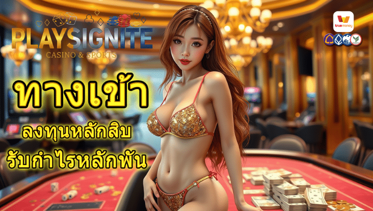 playsignite ทางเข้า